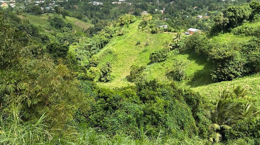 Mesopotamia Valley, Eastern Saint Vincent, St. Vincent & Grenadines
